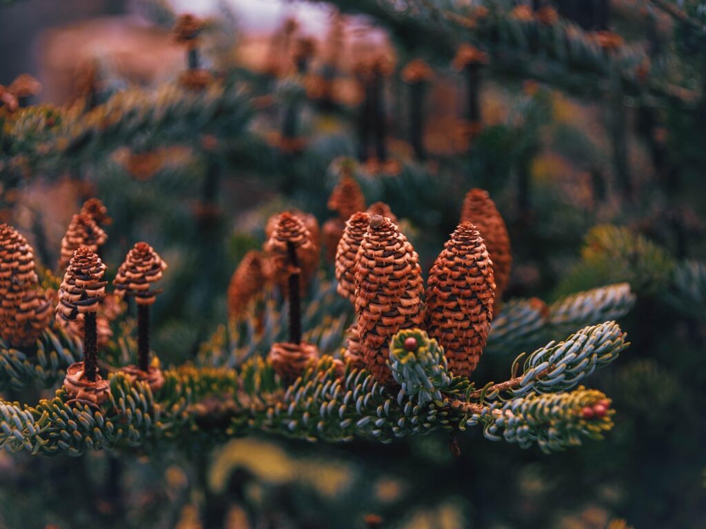 ChatGPTを使ったメールマーケティングで無料でKPIを達成する方法は？