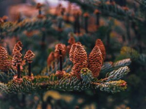 ChatGPTを使ったメールマーケティングで無料でKPIを達成する方法は？