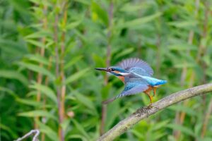 ChatGPTを使った無料企画書のライティング方法は？