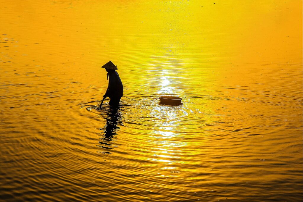 ドメイン年齢を調べる方法とその重要性は？