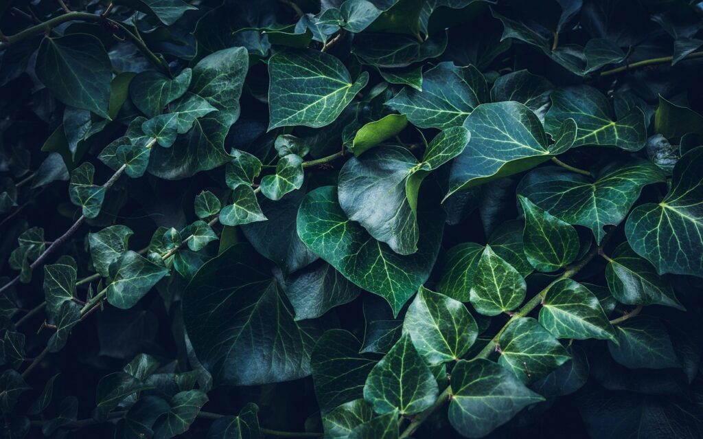 chatgptを使った創作の活用方法とは？