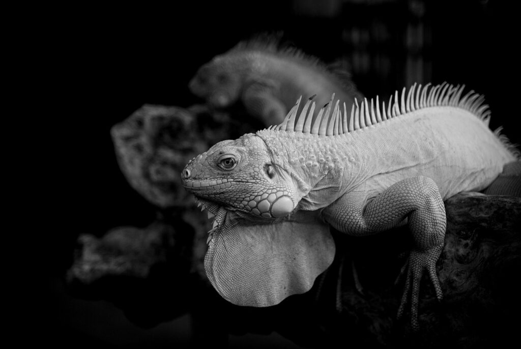 リンクビルディングとは何か、効果的な手法とその重要性は？