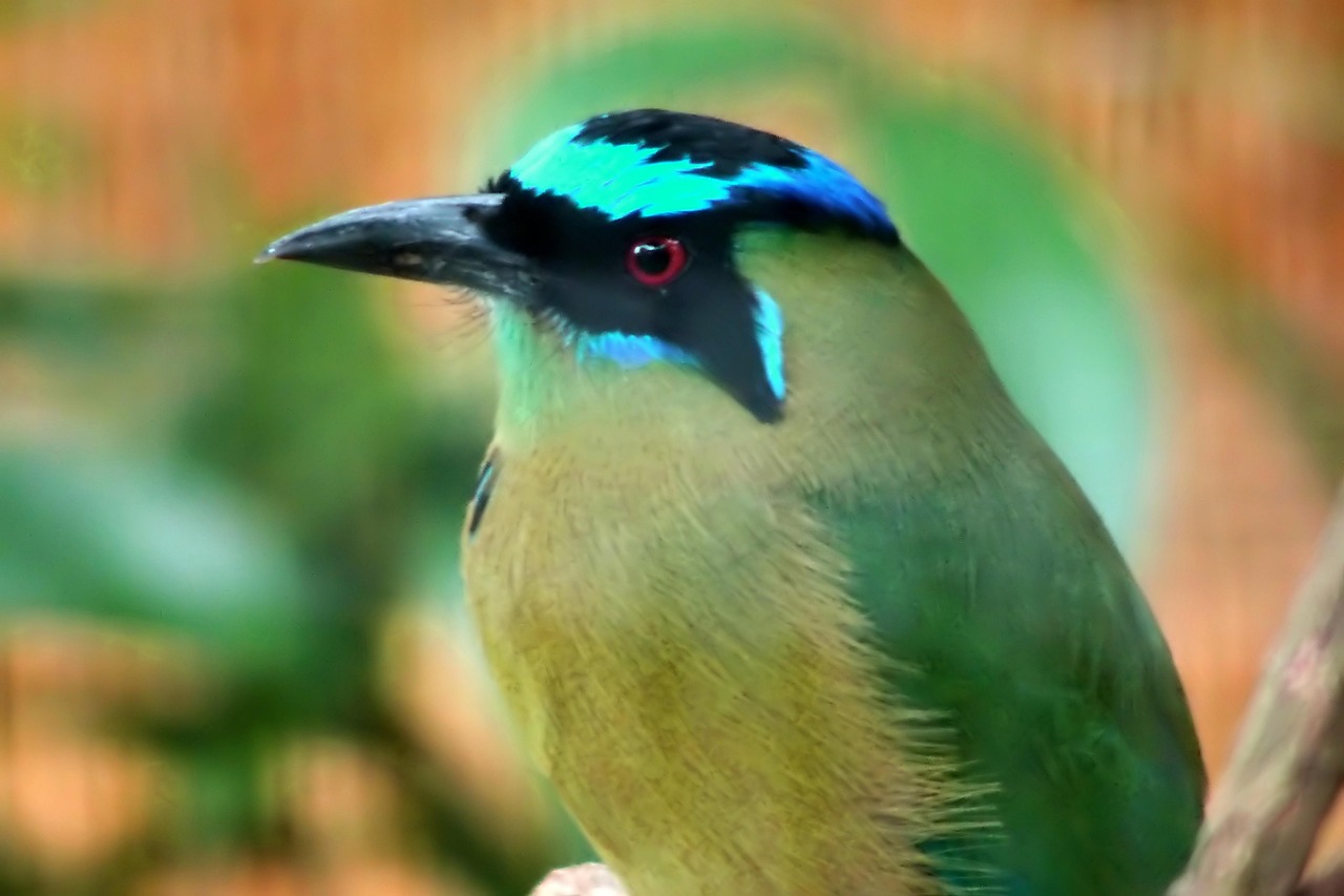 ChatGPTの導入事例を比較して成功の秘訣は？