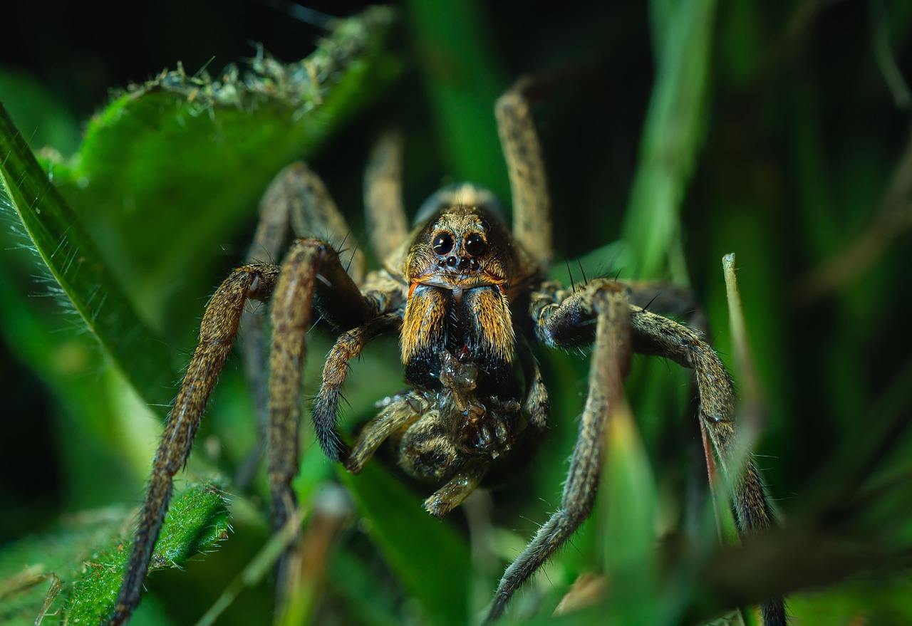 ChatGPTを使ったキャッチコピーの自動生成方法は？