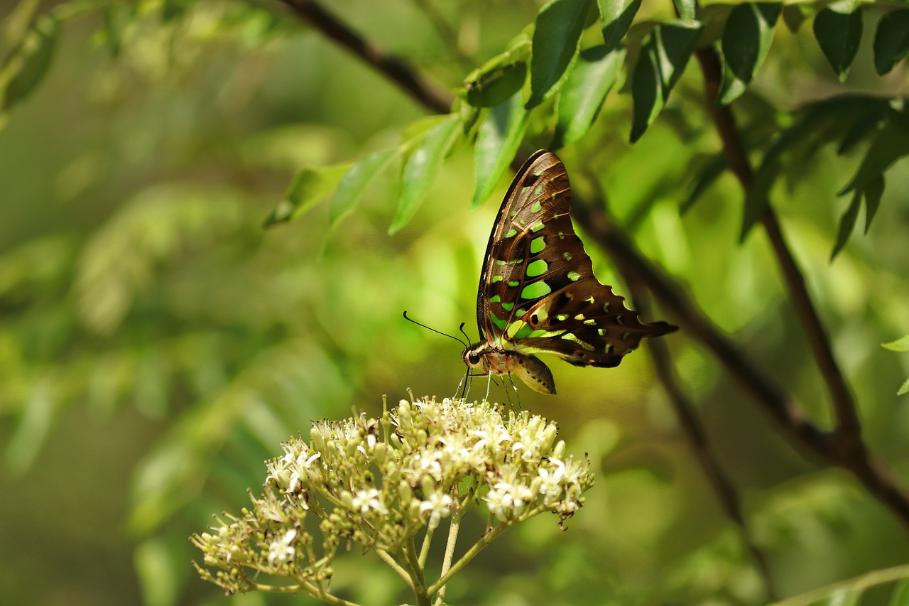 ChatGPTを使った英文メール作成のポイントは？