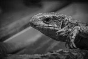 ChatGPTを使ったマーケティングの初心者向け使い方は？